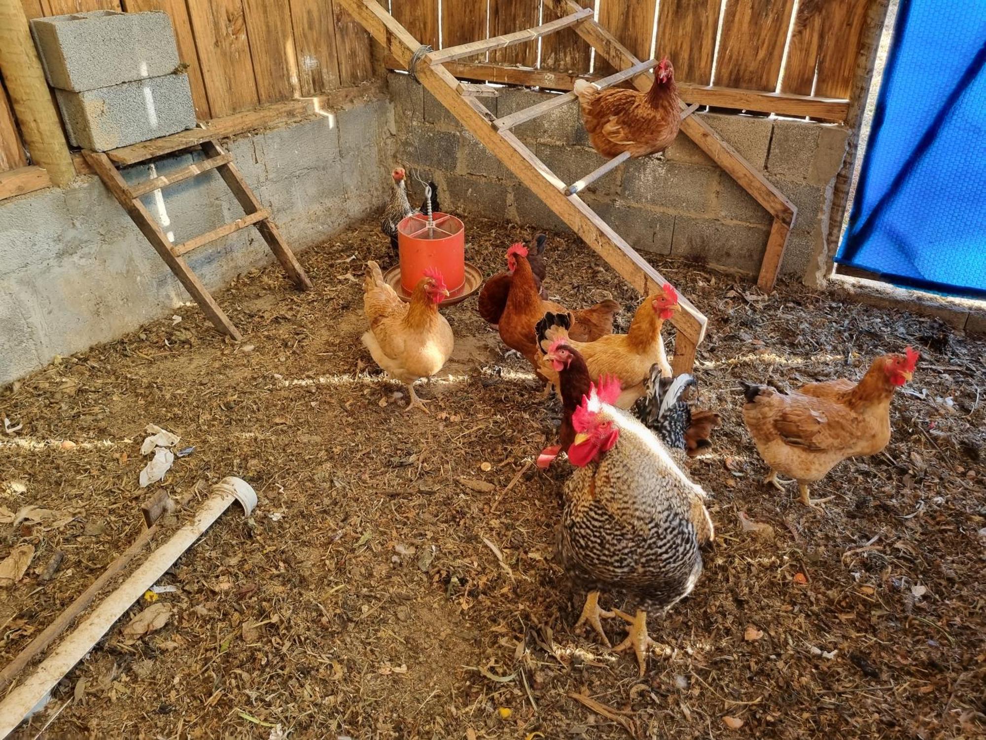 Chacara Aquila Villa Sao Roque  Luaran gambar