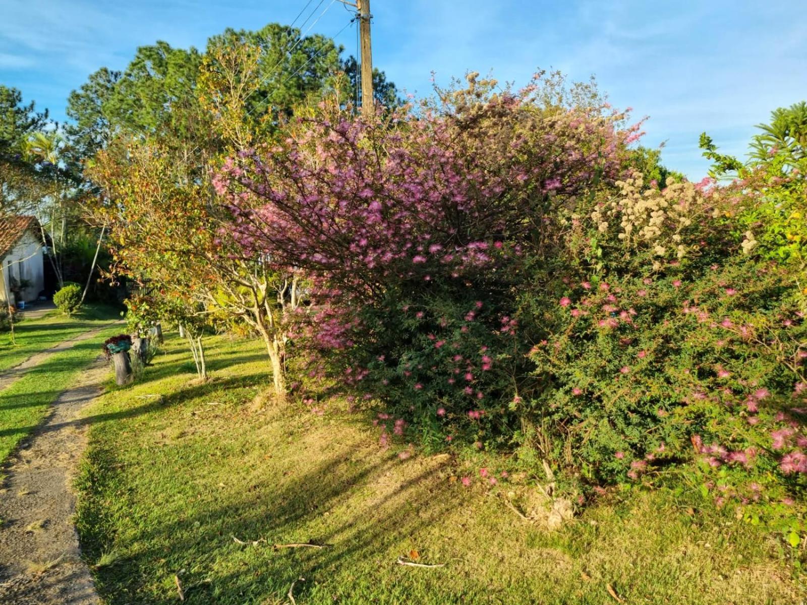 Chacara Aquila Villa Sao Roque  Luaran gambar
