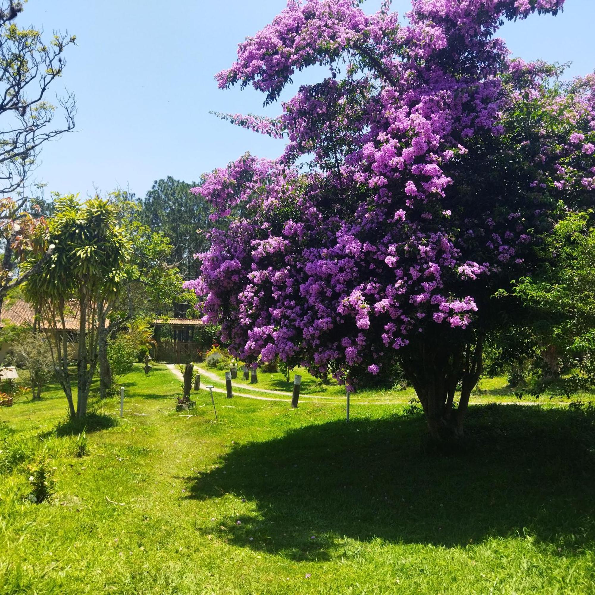 Chacara Aquila Villa Sao Roque  Luaran gambar
